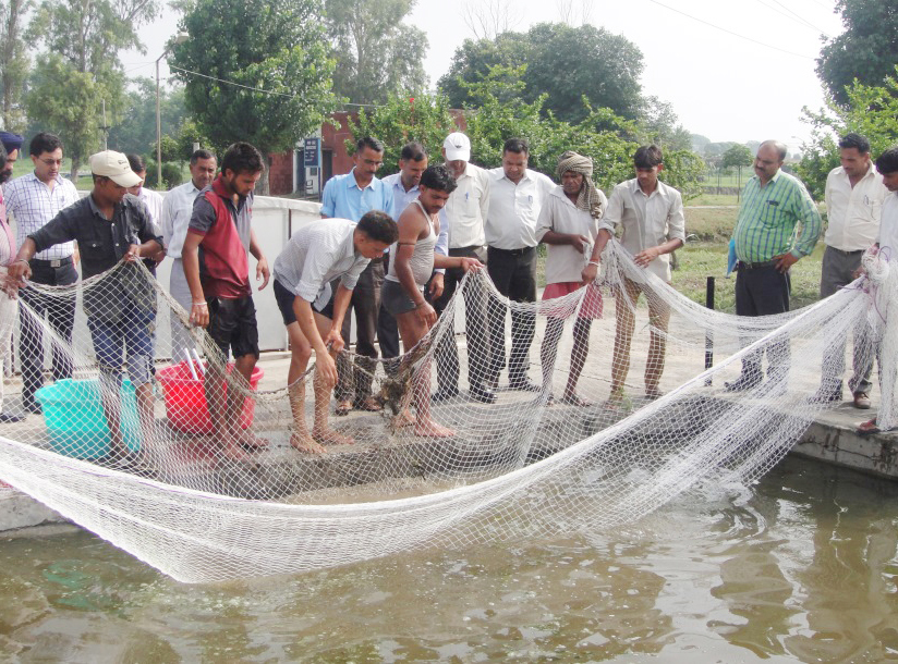 Fisheries consultation and training session